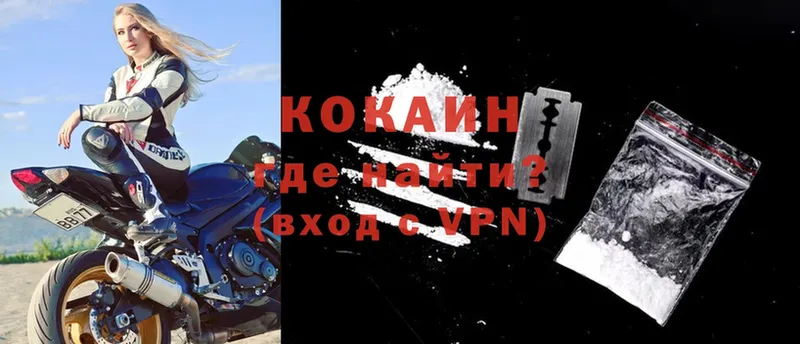 закладки  Новопавловск  Cocaine VHQ 